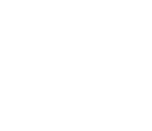 The Human Element vertical logo